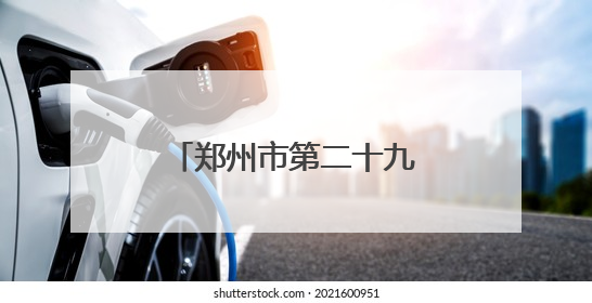 郑州市第二十九中学多名队员入选国家荷球集训队